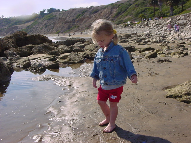 Chlo&eacute; tide pools
