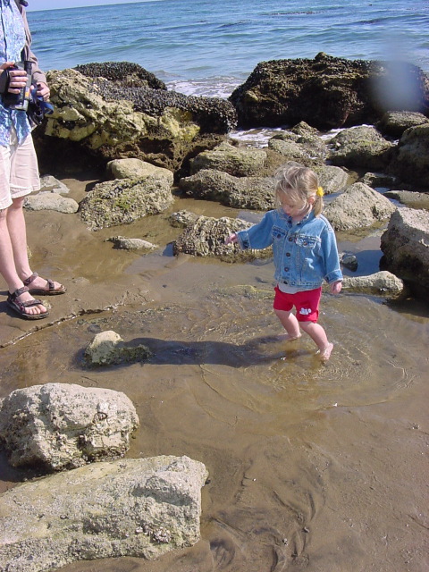 Chlo&eacute; tide pools 1