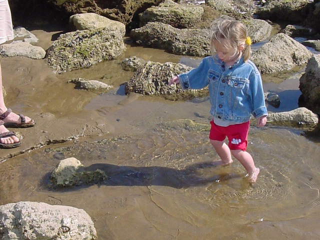 Chlo&eacute; tide pools 2